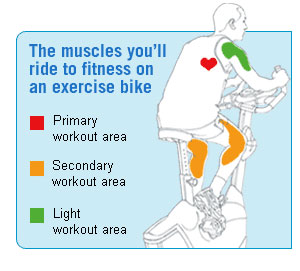 exercise bike workout